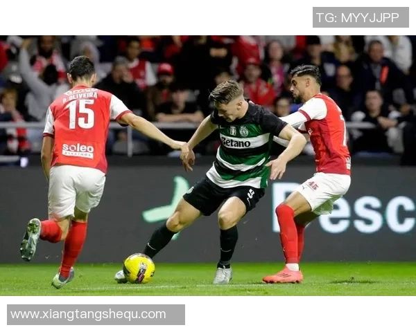 霍芬海姆对阵利物浦精彩集锦回顾及比赛亮点分析